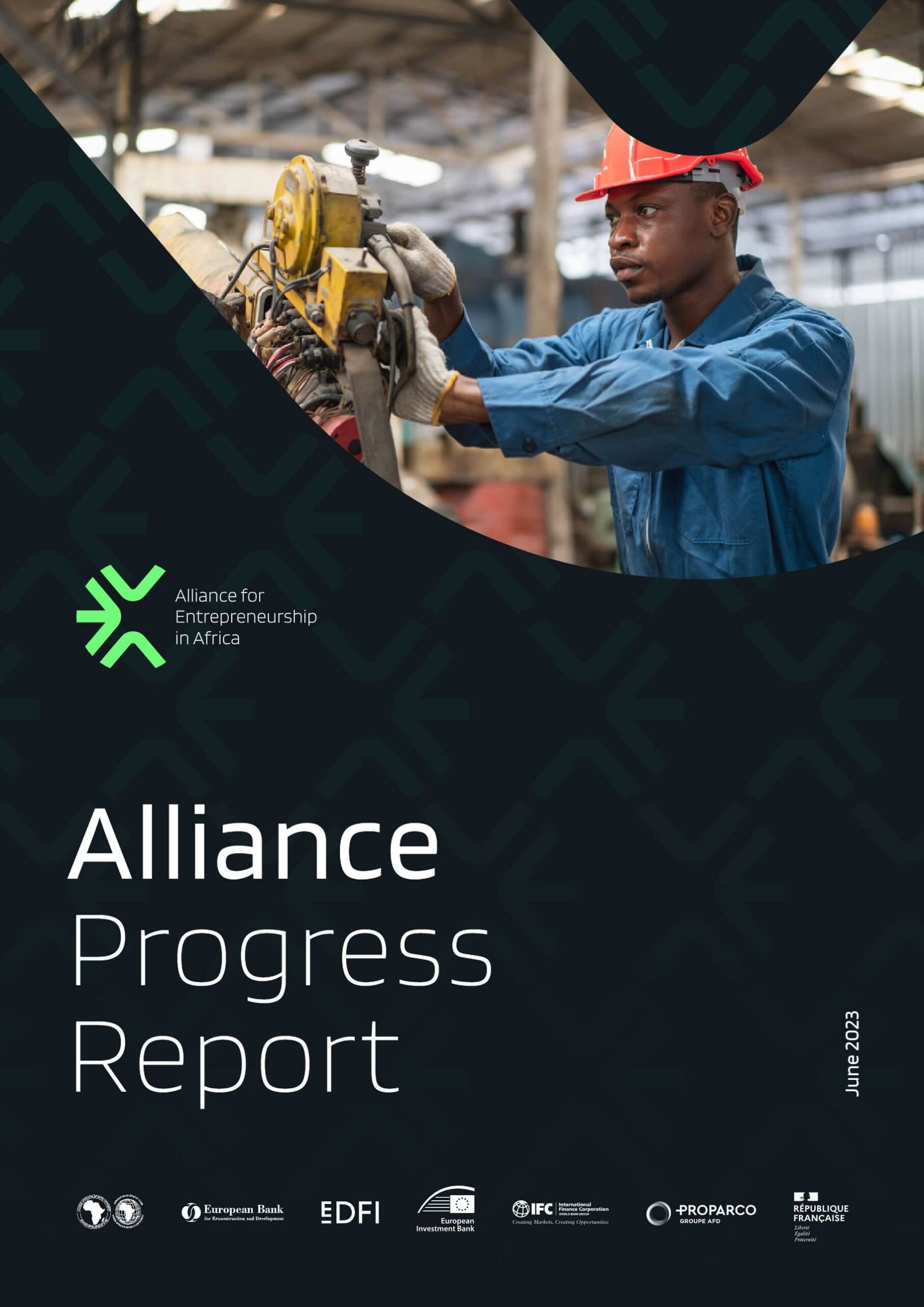 AforE Progress Report June 2023 ENG