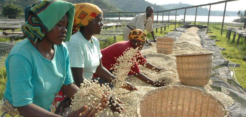 Africa Recovery and Resilience Plan (ARRP)