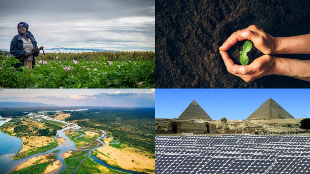 Transform & Adaptation Fund (TAF)